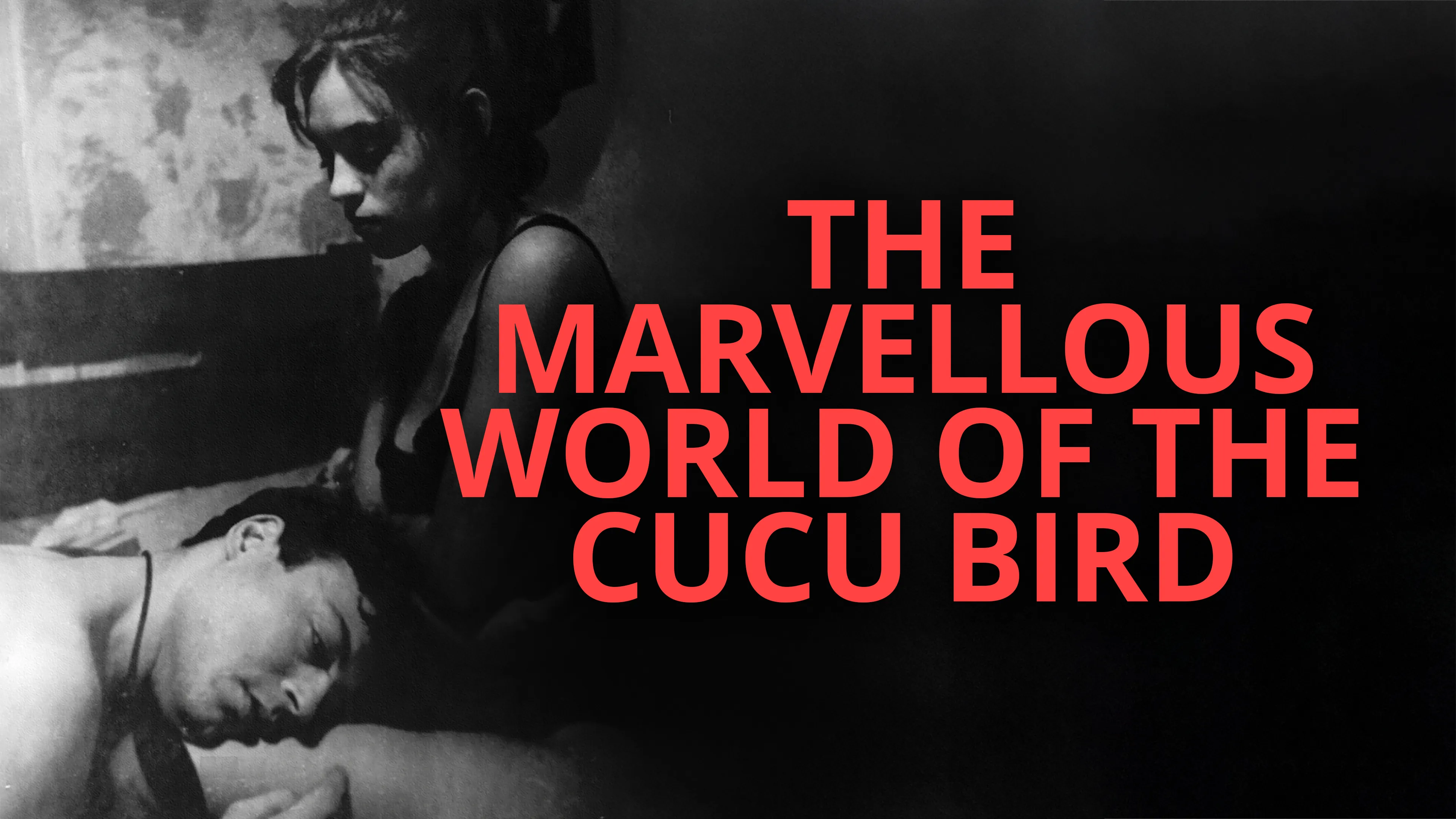 The Marvellous World of the Cucu Bird poster